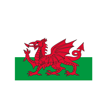 Flag 4